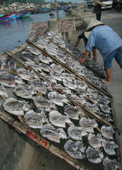 Sóng gió mưu sinh của những người bám biển ảnh 12