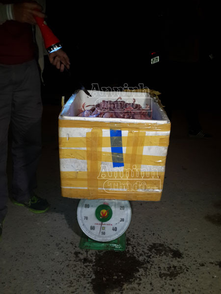 Phát hiện 3.000 con chim cút ướp lạnh đang bốc mùi ảnh 2