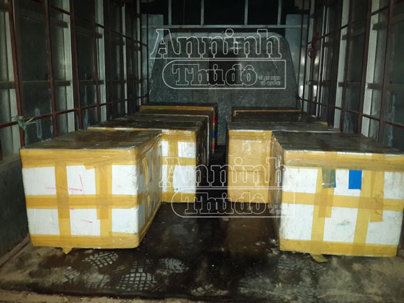 Phát hiện 3.000 con chim cút ướp lạnh đang bốc mùi ảnh 1