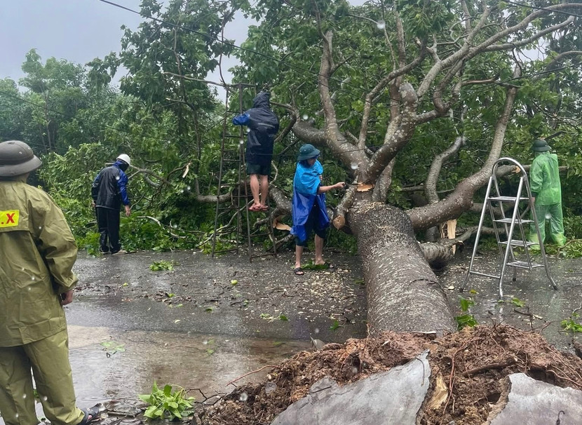 Bộ Nông nghiệp và Môi trường đề nghị Ủy ban nhân dân các tỉnh, thành phố từ Thanh Hoá đến Đà Nẵng huy động nguồn lực tập trung khắc phục hậu quả bão số 5 và mưa lũ sau bão