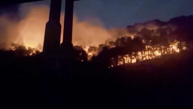 Cháy rừng tại Nghệ An