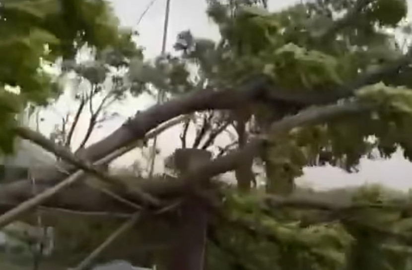 Các tỉnh miền Trung đang chống chọi với bão số 5