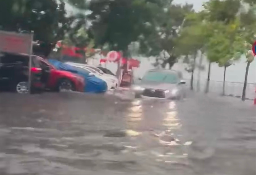 Khu vực hồ Tây, Hà Nội