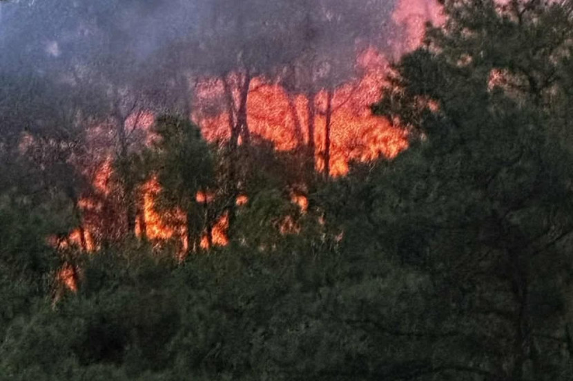 Ngọn lửa bốc cháy dữ dội