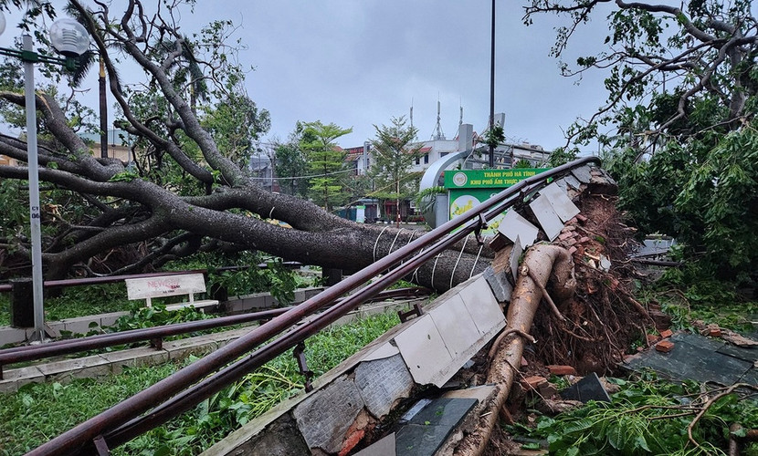 Hà Tĩnh là tỉnh có số lượng cây xanh các loại bị gãy, đổ nhiều nhất, hơn 119.000 cây.