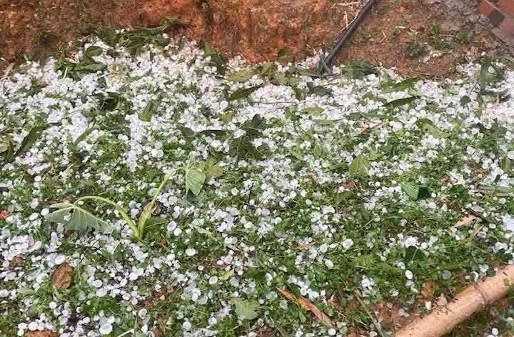 Mưa đá xảy ra tại hai tỉnh Điện Biên và Sơn La Mưa đá xảy ra tại hai tỉnh Điện Biên và Sơn La