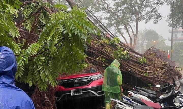 Cây bật gốc đè trúng ô tô và xe máy
