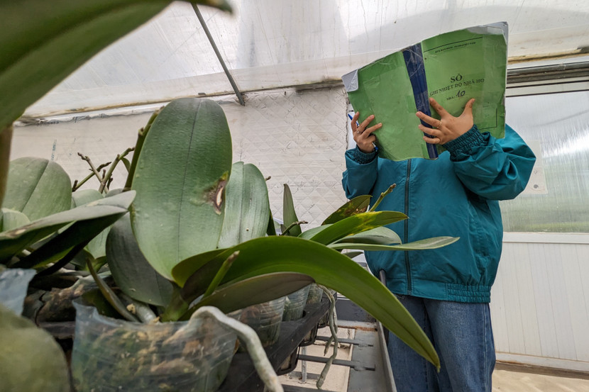 HTX còn xây dựng thương hiệu riêng, “Flora Việt Nam” được Cục sở hữu trí tuệ (Bộ Khoa học và Công nghệ) cấp giấy chứng nhận nhãn hiệu và bảo hộ độc quyền. Đến nay, thương hiệu Flora Việt Nam đã có chỗ đứng trong lòng khách hàng cả nước.