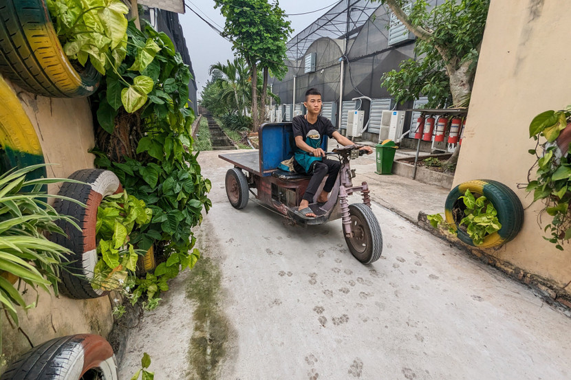 Đó là vào thời điểm đầu năm 2004, nhận thấy lợi thế đất đai màu mỡ ven sông Hồng cùng nhu cầu của thị trường đối với sản phẩm hoa cao cấp, bà Bùi Hường Bích - Giám đốc HTX Đan Hoài ấp ủ ý định biến vùng đất nơi đây thành địa chỉ cung cấp hoa lan hồ điệp.