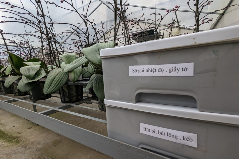 Hiện, HTX Đan Hoài có cơ sở sản xuất tiên tiến, với gần 2ha nhà lưới công nghệ cao để sản xuất hoa cao cấp và một đội ngũ kỹ thuật tay nghề cao...