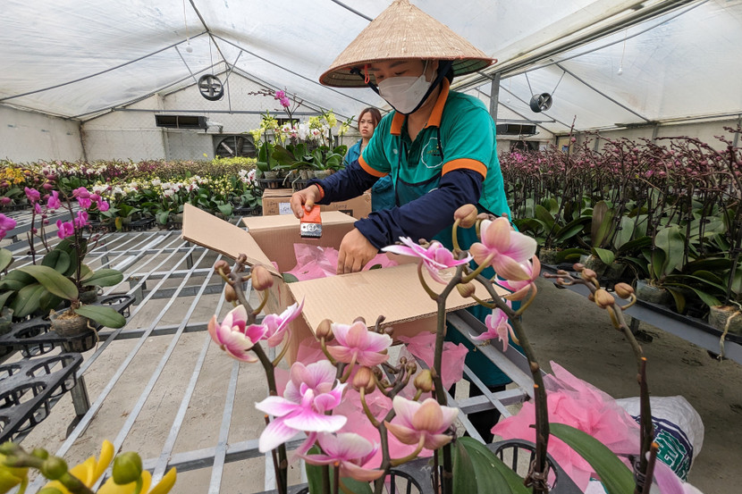 Hàng năm, HTX đã giới thiệu và chuyển giao nhiều tiến bộ khoa học kỹ thuật cho người dân, các đơn vị trong và ngoài thành phố Hà Nội, đưa ra thị trường hàng chục vạn cây giống và cây hoa lan Hồ điệp với chất lượng cao
