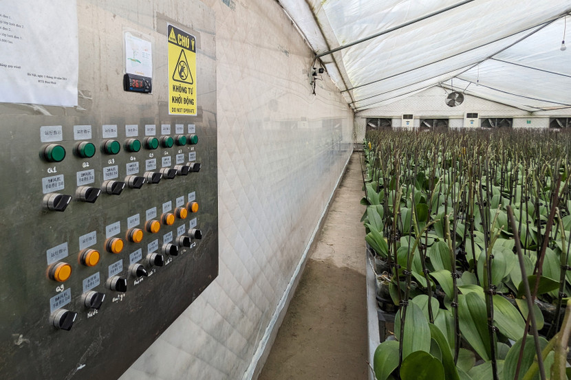 Những nhà lưới được áp dụng công nghệ hiện đại, đảm bảo nhiệt độ, độ ẩm, không khí cần thiết