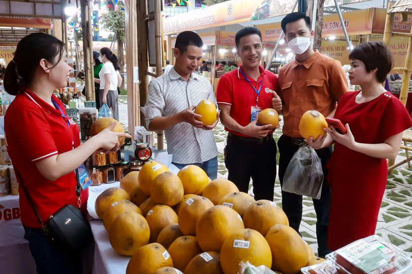 Festival sản phẩm nông nghiệp và làng nghề Hà Nội 2024 sẽ diễn ra ở xã An Khánh, huyện Hoài Đức Festival sản phẩm nông nghiệp và làng nghề Hà Nội 2024 sẽ diễn ra ở xã An Khánh, huyện Hoài Đức