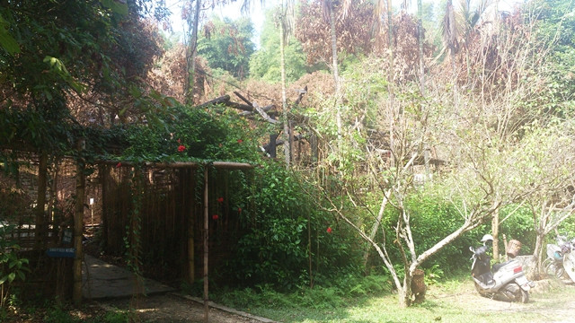 Đỏ hoen khóe mắt, tận nhìn nhà Lang người Mường sau cháy ảnh 5