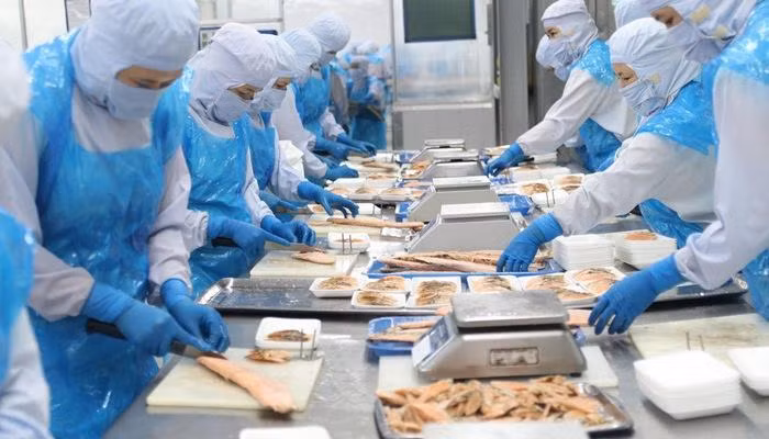 Do số giờ làm việc được trả lương ít hơn, thu nhập trung bình cũng giảm