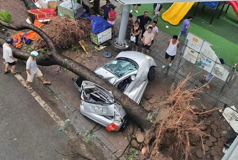 Bão Yagi đổ bộ vào Việt Nam làm nhiều người chết và thiệt hại rất lớn về cơ sở hạ tầng