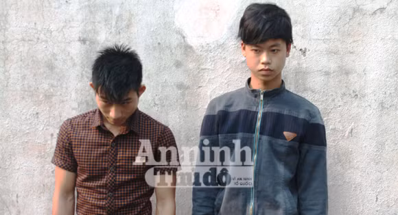 Khởi tố hai 9X "hành nghề" trộm chó ảnh 1