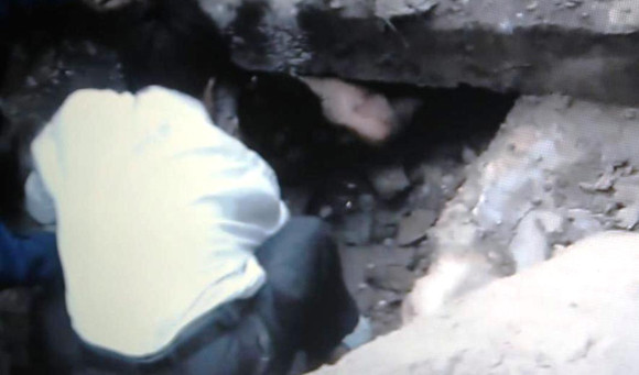 Ngáo đá, nam thanh niên chui xuống ống cống ảnh 1 Ngáo đá, nam thanh niên chui xuống ống cống ảnh 1