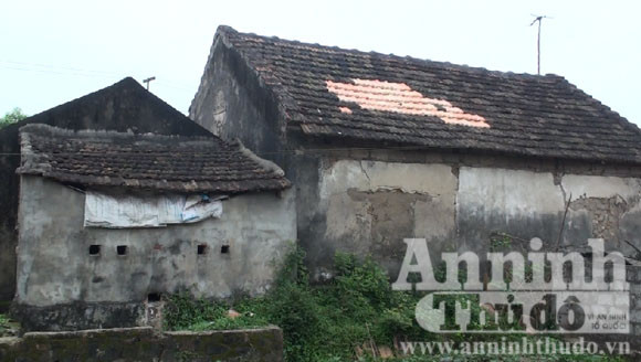 Ngôi nhà của ông Đoàn Công Viên bị đối tượng ném mìn để dằn mặt (Một phần mái ngói đã bị vỡ)