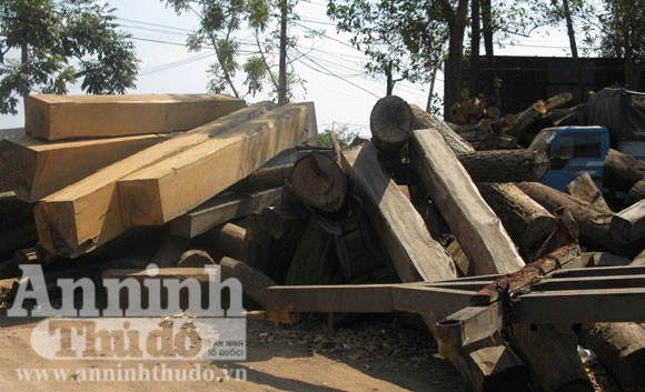 Lâm sản khai thác trái phép bị thu giữ tại Hạt kiểm lâm Ea Súp