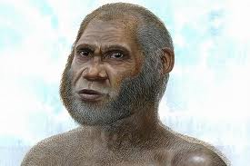 Phát hiện sinh vật mới giống loài người ảnh 1
