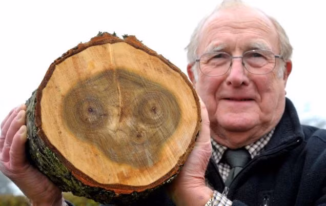 Sự trùng hợp ngẫu nhiên