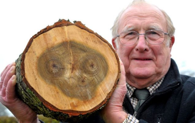 Sự trùng hợp ngẫu nhiên