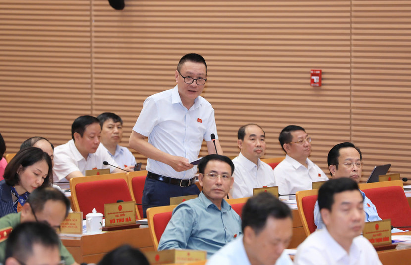 Đại biểu Nguyễn Quang Thắng đặt vấn đề, có hay không việc người dân trồng rau sử dụng thuốc bảo vệ thực vật từ tối hôm trước nhưng ngay sáng hôm sau đã thu hoạch và đưa đi tiêu thụ