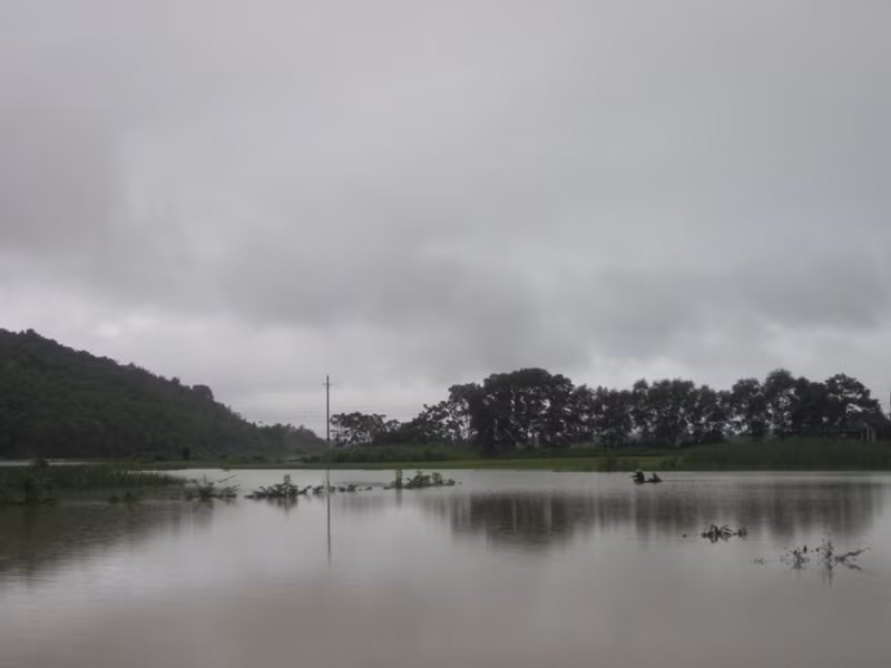 Mưa lớn, nhiều bản làng bị nhấn chìm, 8 người thương vong ảnh 7