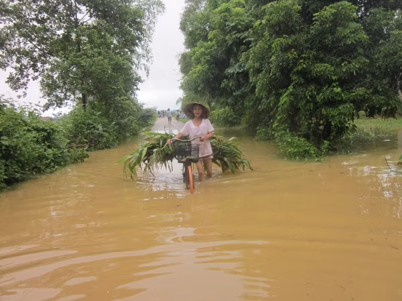 Mưa lớn, nhiều bản làng bị nhấn chìm, 8 người thương vong ảnh 5