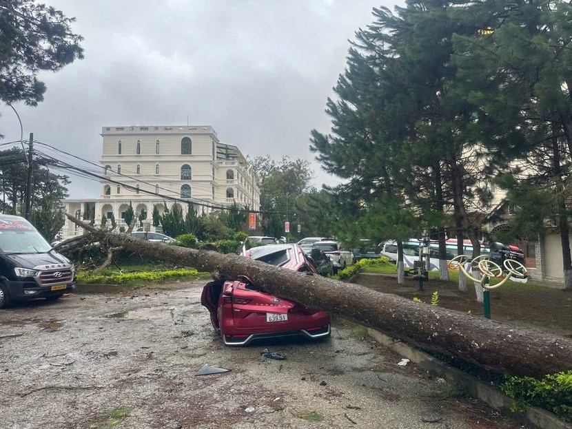 Giông lốc, mưa lớn gây thiệt hại nặng về người và tài sản tại các địa phương