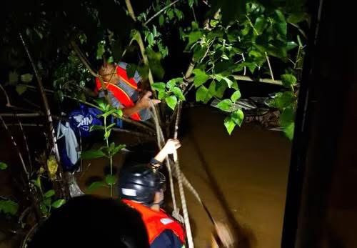 Lực lượng chức năng cứu kịp thời người đàn ông bị lũ cuốn bám vào bụi cây