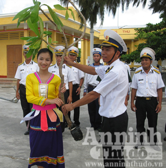 Quà của đảo Sinh Tồn Đông gửi tặng đất liền là cây bàng vuông Quà của đảo Sinh Tồn Đông gửi tặng đất liền là cây bàng vuông
