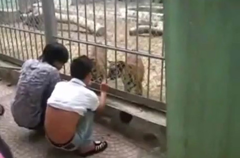 Hình ảnh cắt ra từ clip