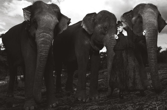 Hoàng Thị Thùy là người có bức ảnh đẹp nhất trong tuần 11 Nguyễn Thị Tuyết là người phải rời cuộc thi Hoàng Thị Thùy là người có bức ảnh đẹp nhất trong tuần 11 Nguyễn Thị Tuyết là người phải rời cuộc thi