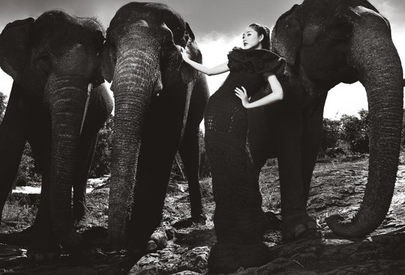 Hoàng Thị Thùy là người có bức ảnh đẹp nhất trong tuần 11 Nguyễn Thị Tuyết là người phải rời cuộc thi Hoàng Thị Thùy là người có bức ảnh đẹp nhất trong tuần 11 Nguyễn Thị Tuyết là người phải rời cuộc thi