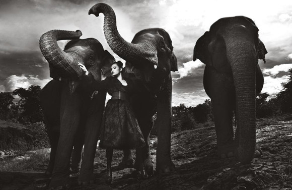 Hoàng Thị Thùy là người có bức ảnh đẹp nhất trong tuần 11 Nguyễn Thị Tuyết là người phải rời cuộc thi Hoàng Thị Thùy là người có bức ảnh đẹp nhất trong tuần 11 Nguyễn Thị Tuyết là người phải rời cuộc thi