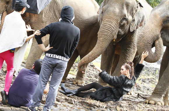 Nguyễn Thị Tuyết gặp khó khăn trong thử thách chụp hình với chú voi