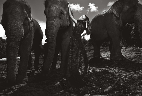 Hoàng Thị Thùy là người có bức ảnh đẹp nhất trong tuần 11 Nguyễn Thị Tuyết là người phải rời cuộc thi Hoàng Thị Thùy là người có bức ảnh đẹp nhất trong tuần 11 Nguyễn Thị Tuyết là người phải rời cuộc thi