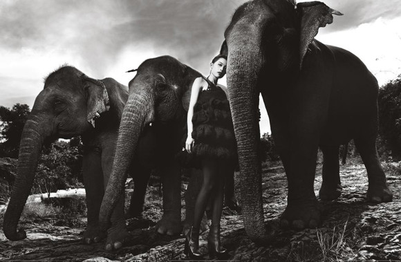 Hoàng Thị Thùy là người có bức ảnh đẹp nhất trong tuần 11 Nguyễn Thị Tuyết là người phải rời cuộc thi Hoàng Thị Thùy là người có bức ảnh đẹp nhất trong tuần 11 Nguyễn Thị Tuyết là người phải rời cuộc thi