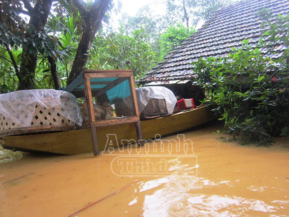 Người dân Hà Tĩnh tang thương, oằn mình trong lũ dữ ảnh 8 Người dân Hà Tĩnh tang thương, oằn mình trong lũ dữ ảnh 8