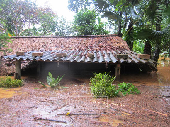 Người dân Hà Tĩnh tang thương, oằn mình trong lũ dữ ảnh 5 Người dân Hà Tĩnh tang thương, oằn mình trong lũ dữ ảnh 5