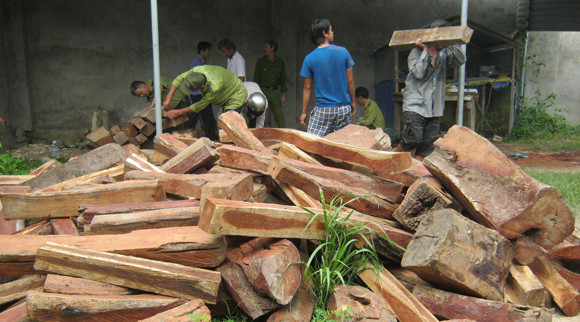 Phát hiện hơn 500 khúc gỗ hương trong nhà dân ảnh 1