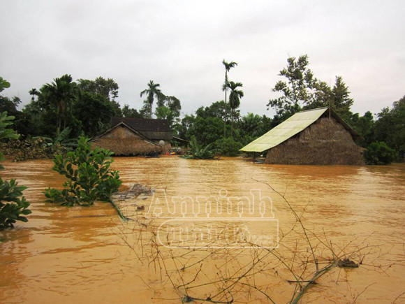 Người dân Hà Tĩnh tang thương, oằn mình trong lũ dữ ảnh 7 Người dân Hà Tĩnh tang thương, oằn mình trong lũ dữ ảnh 7
