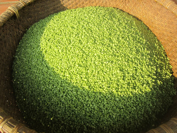 Những chiếc bánh chưng có cách làm "không giống ai" ảnh 3