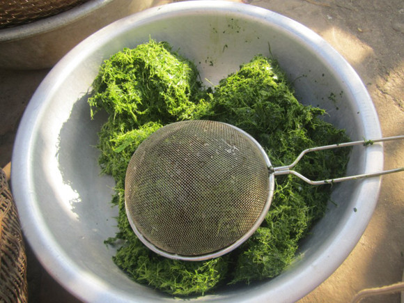 Những chiếc bánh chưng có cách làm "không giống ai" ảnh 2