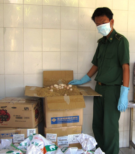 Bắt xe tải chở gia cầm bẩn trên đường đi tiêu thụ ảnh 2