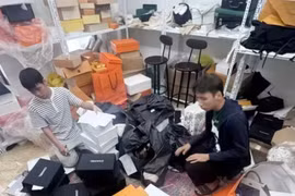 Tin Podcast ngày 13/7/2026: Phát hiện đường dây bán hàng hiệu giả trên mạng, doanh thu hơn 10 tỷ đồng
