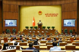 Bên lề Kỳ họp thứ 10, Quốc hội khóa XV: Kỳ họp đặc biệt, tạo nền tảng pháp lý cho đất nước tiến vào kỷ nguyên mới