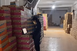 Lực lượng Quản lý thị trường tăng cường kiểm tra đột xuất, xử lý nghiêm các vi phạm 